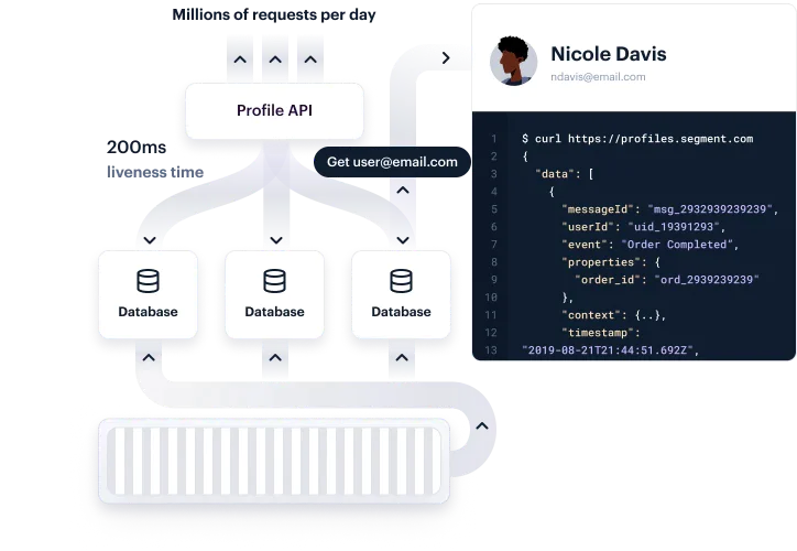 profile-api-segment